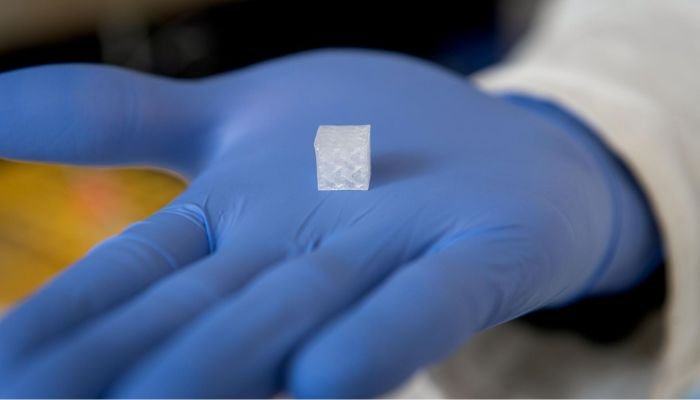 3D Live tissue used in space